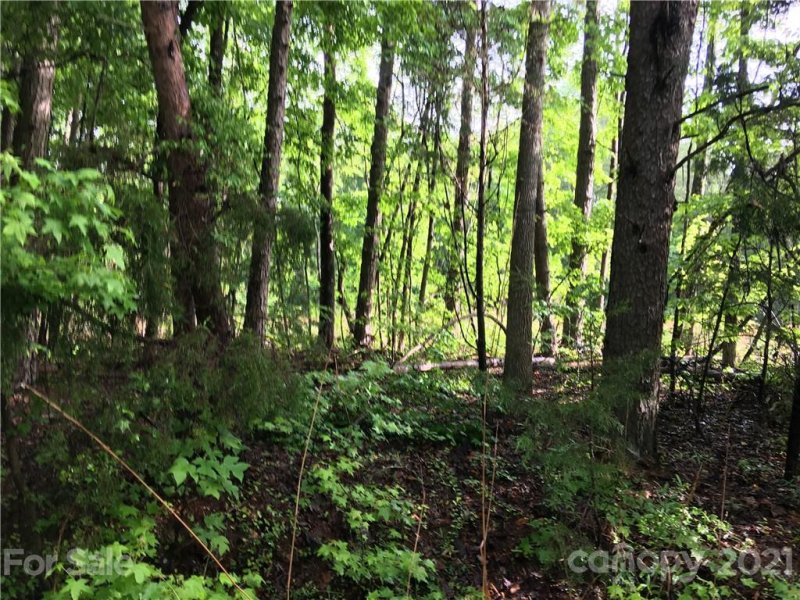 Property image 3 at N A Briarwood Circle, Fort Mill, SC 29715