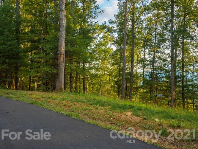 Property image 3 at 273 Serenity Ridge Trail, Asheville, NC 28804