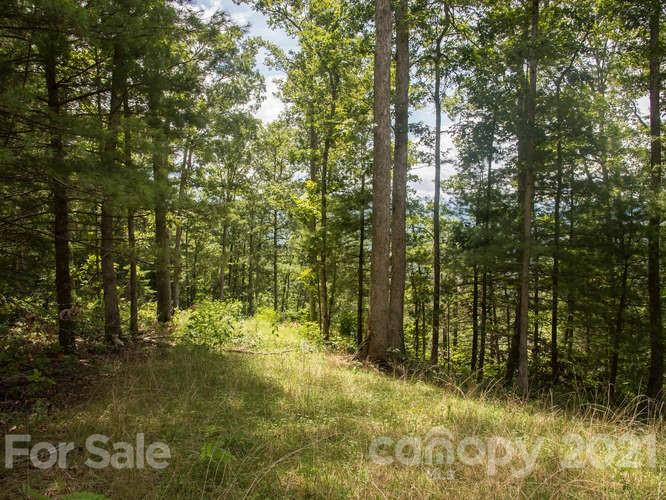 Property image 4 at 273 Serenity Ridge Trail, Asheville, NC 28804