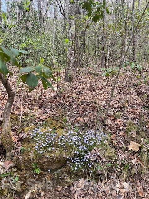 Property image 2 at Lot 58 Lost Panther Road, Brevard, NC 28712