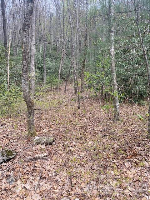 Property image 4 at Lot 58 Lost Panther Road, Brevard, NC 28712