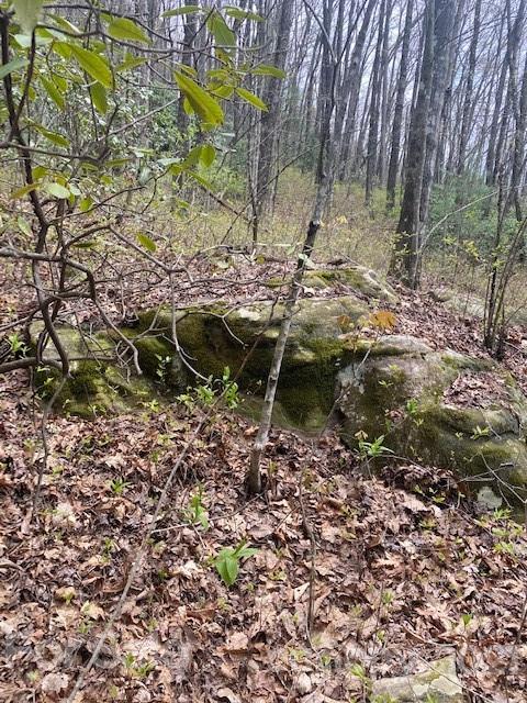 Property image 5 at Lot 58 Lost Panther Road, Brevard, NC 28712