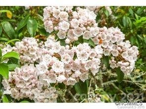 Property image 3 at 936 Mills River Way, Horse Shoe, NC 28742