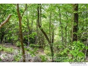 Property image 4 at 936 Mills River Way, Horse Shoe, NC 28742