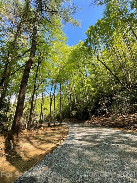 Property image 2 at 1571 Eagle Lake Drive, Brevard, NC 28712