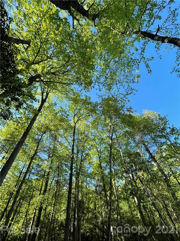 Property image 4 at 1571 Eagle Lake Drive, Brevard, NC 28712