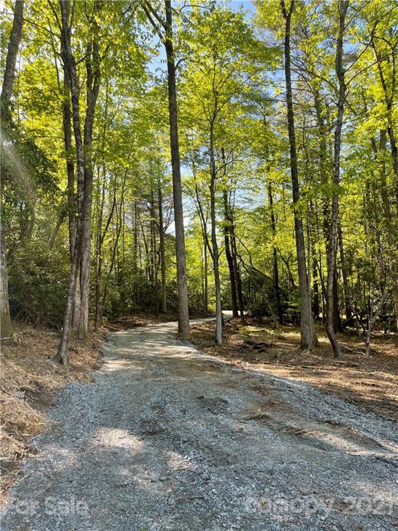 Property image 5 at 1571 Eagle Lake Drive, Brevard, NC 28712