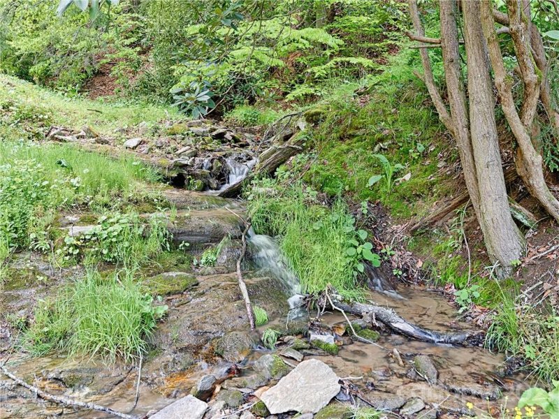 Property image 3 at 540 Coyote Hollow Road, Waynesville, NC 28785