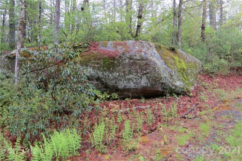 Property image 2 at L46 Stones Lake Road, Cedar Mountain, NC 28718