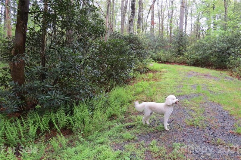 Property image 5 at L46 Stones Lake Road, Cedar Mountain, NC 28718