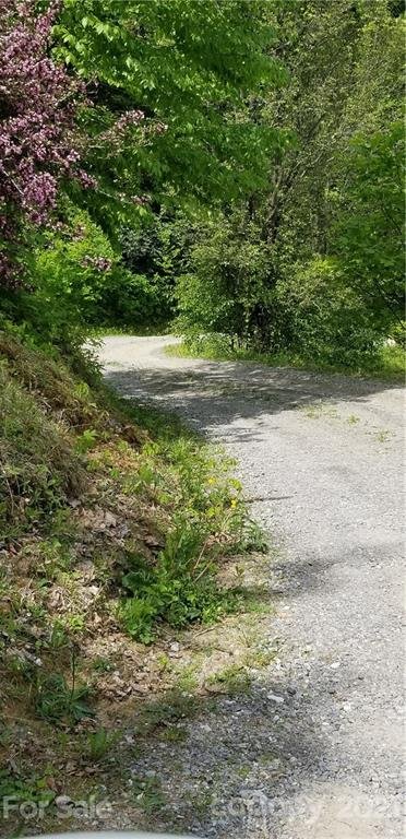 Property image 2 at 00 Dickinson Road, Clyde, NC 28721