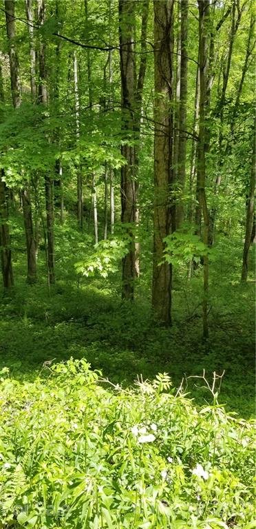 Property image 3 at 00 Dickinson Road, Clyde, NC 28721