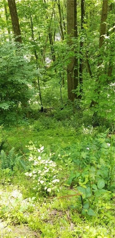 Property image 5 at 00 Dickinson Road, Clyde, NC 28721