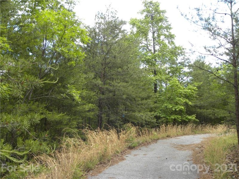 Property image 2 at 126 Kellerman Point, Lake Lure, NC 28746