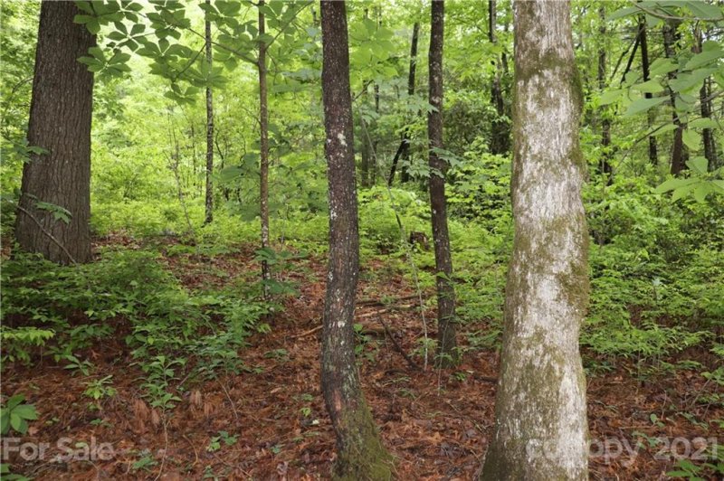 Property image 2 at 0 Birch Lane, Rosman, NC 28772