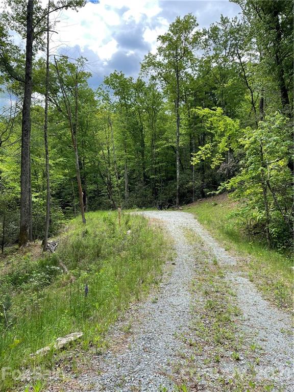 Property image 2 at 208 Gladiola Drive, Pisgah Forest, NC 28768