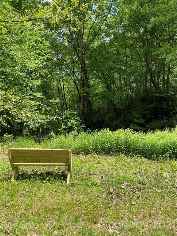 Property image 3 at 208 Gladiola Drive, Pisgah Forest, NC 28768