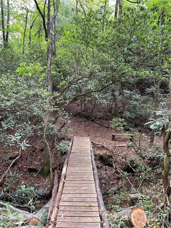 Property image 4 at 208 Gladiola Drive, Pisgah Forest, NC 28768