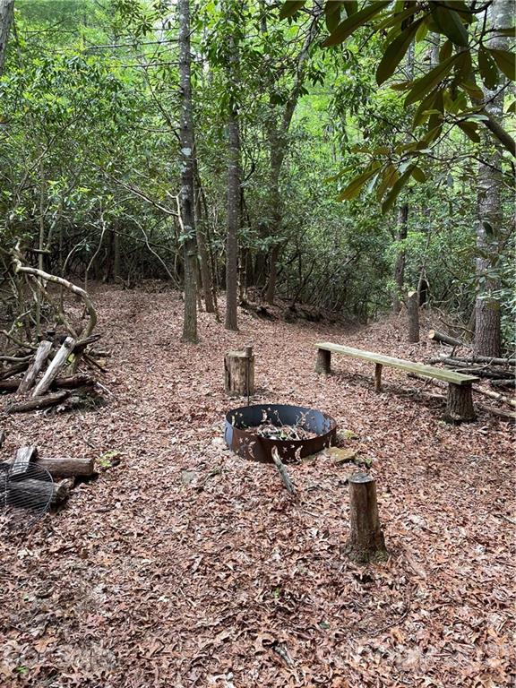 Property image 5 at 208 Gladiola Drive, Pisgah Forest, NC 28768