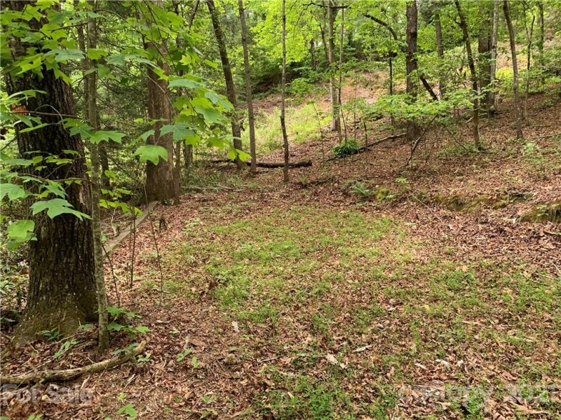 Property image 4 at 999 Hickory Nut Drive, Mill Spring, NC 28756