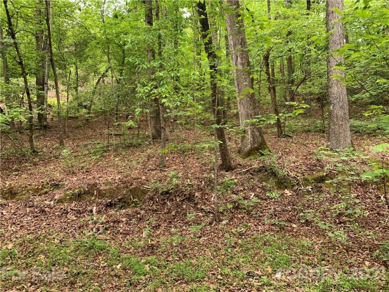 Property image 5 at 999 Hickory Nut Drive, Mill Spring, NC 28756