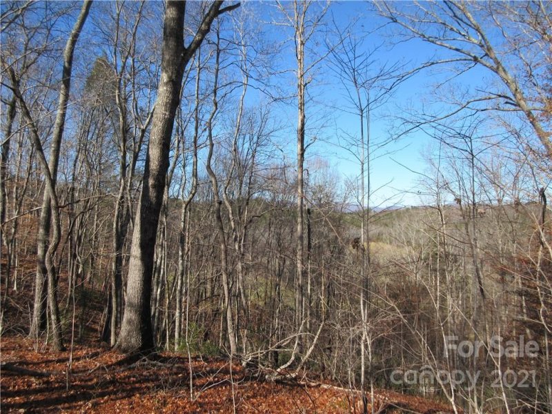 Property image 4 at Lot 6 S Cross Creek Trail, Mill Spring, NC 28756