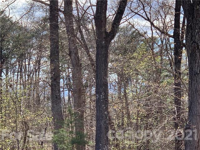 Property image 3 at 0 Shady Bark Lane, Rutherfordton, NC 28139