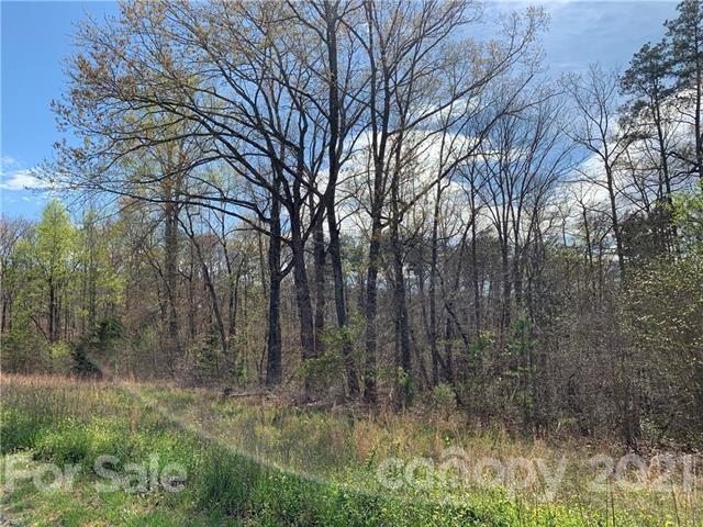 Property image 4 at 0 Shady Bark Lane, Rutherfordton, NC 28139