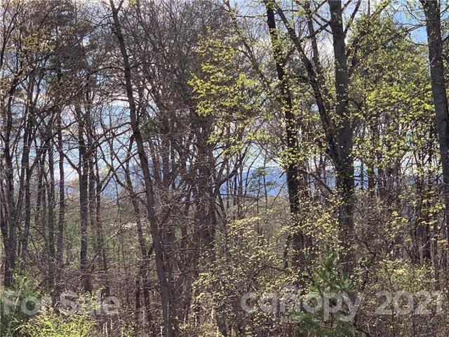 Property image 5 at 0 Shady Bark Lane, Rutherfordton, NC 28139