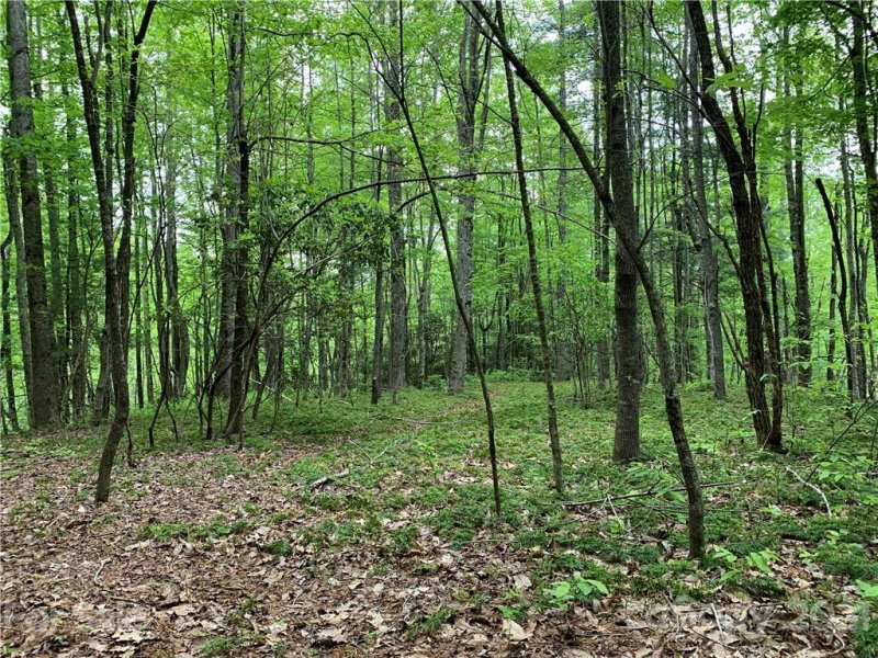 Lot 213 Walnut Ridge Road