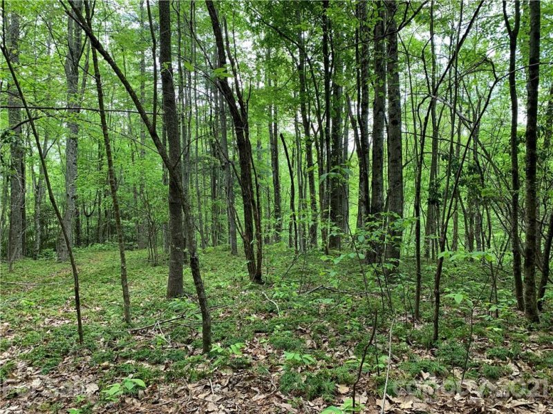 Property image 2 at Lot 213 Walnut Ridge Road, Brevard, NC 28712