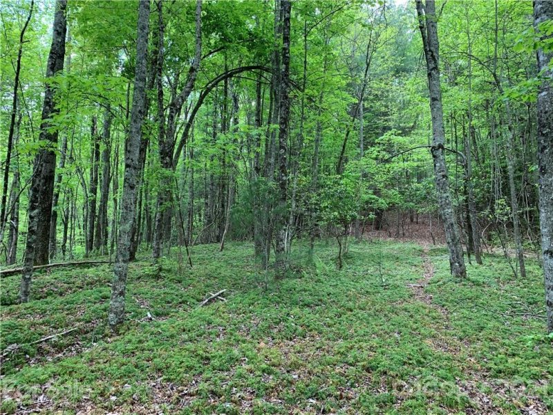 Property image 3 at Lot 213 Walnut Ridge Road, Brevard, NC 28712