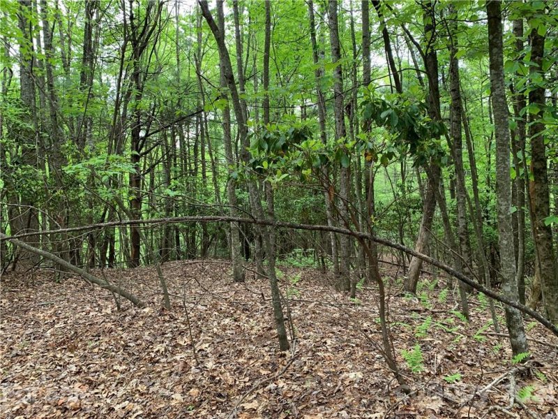 Property image 4 at Lot 213 Walnut Ridge Road, Brevard, NC 28712