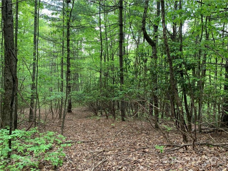 Property image 5 at Lot 213 Walnut Ridge Road, Brevard, NC 28712
