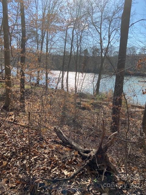 Property image 2 at 125 Dockside Lane, Statesville, NC 28677