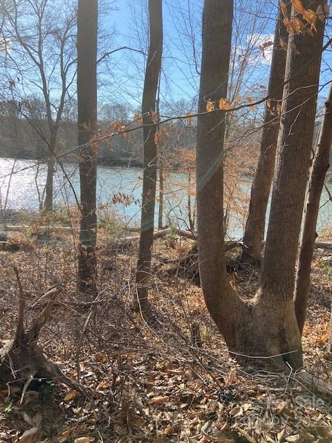 Property image 3 at 125 Dockside Lane, Statesville, NC 28677