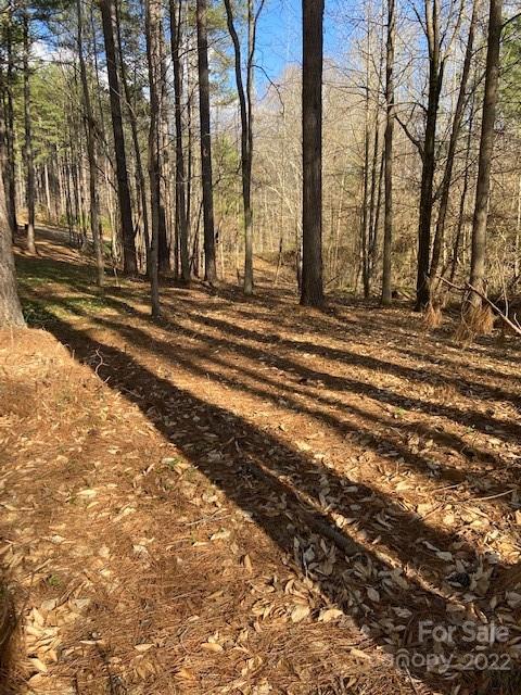 Property image 4 at 125 Dockside Lane, Statesville, NC 28677