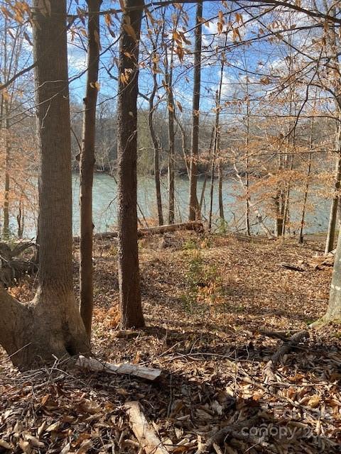 Property image 5 at 125 Dockside Lane, Statesville, NC 28677