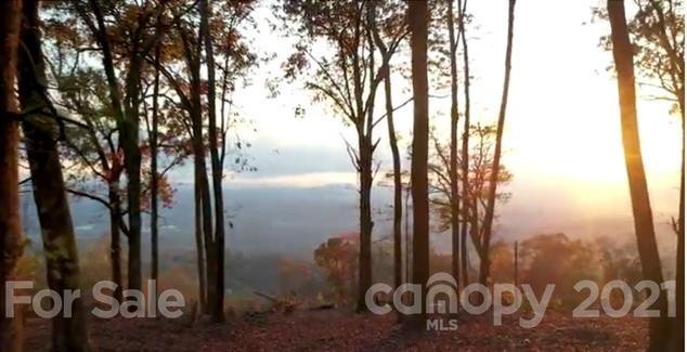 Property image 4 at Lot 55 Couch Mountain None, Fletcher, NC 28732