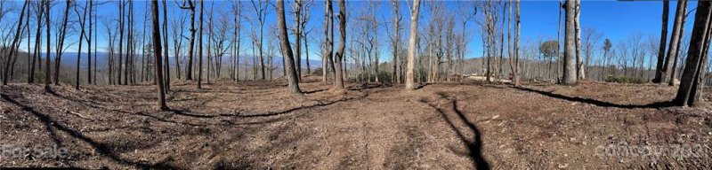 Property image 4 at Lot 56 Couch Mountain None, Fletcher, NC 28732