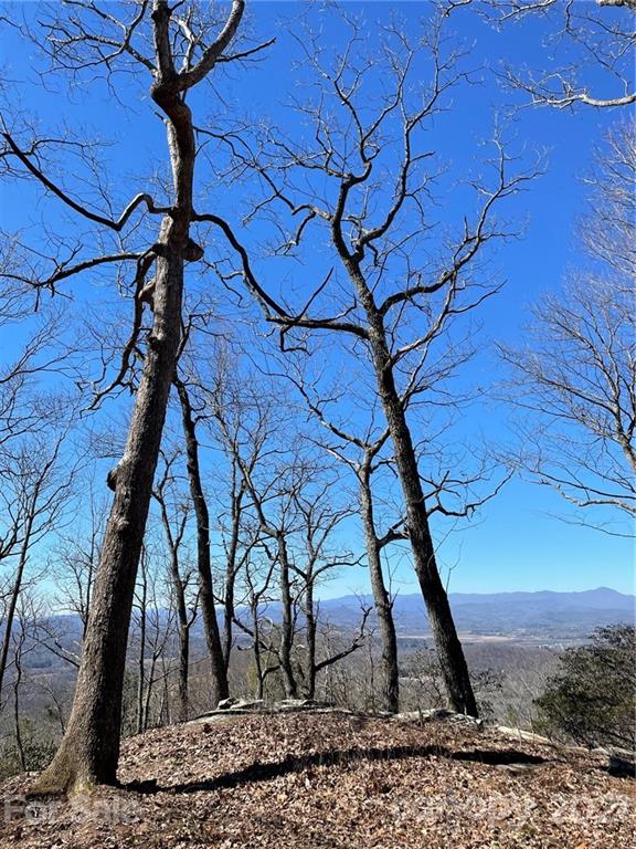 Property image 5 at Lot 56 Couch Mountain None, Fletcher, NC 28732