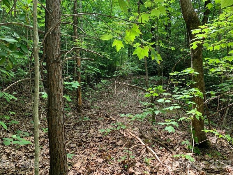 Property image 3 at 000 Melrose Mountain Road, Tryon, NC 28782