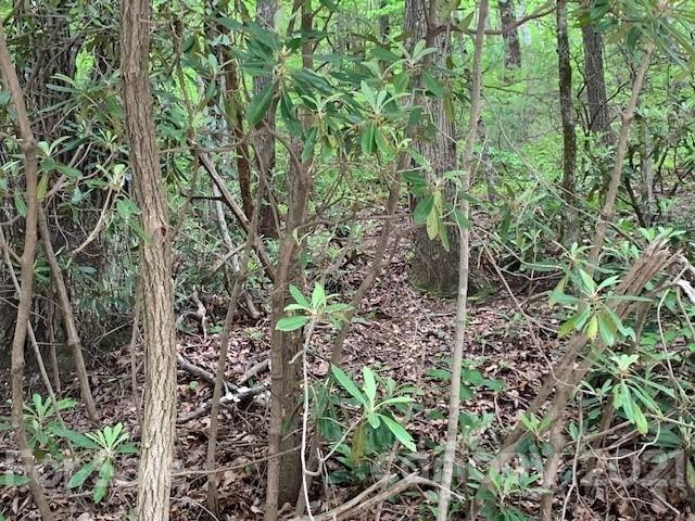 Property image 4 at 000 Melrose Mountain Road, Tryon, NC 28782