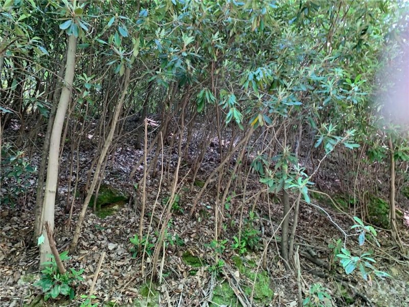 Property image 5 at 00 Lakeview Drive, Tryon, NC 28782