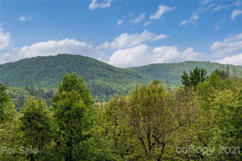 Property image 2 at 319 Big Bear Trail, Zirconia, NC 28790