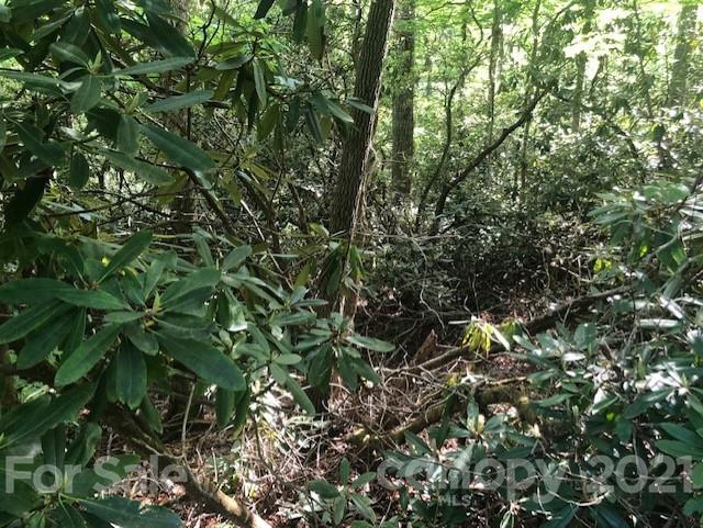 Property image 2 at 0 Wild Flower Road, Spruce Pine, NC 28777