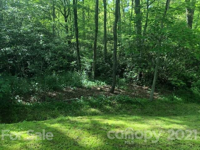 Property image 3 at 0 Wild Flower Road, Spruce Pine, NC 28777