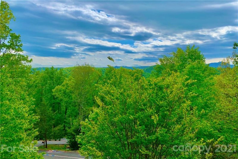 Property image 2 at 61 Buckhead Trail, Horse Shoe, NC 28742