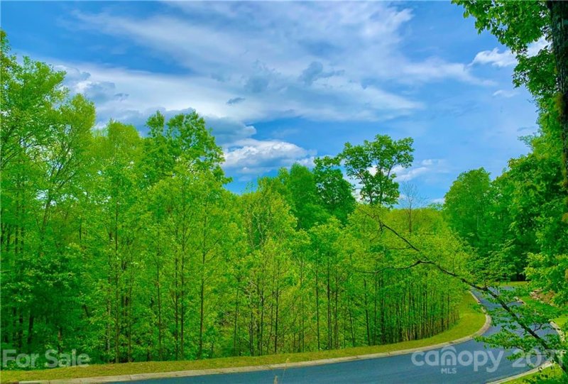 Property image 3 at 61 Buckhead Trail, Horse Shoe, NC 28742