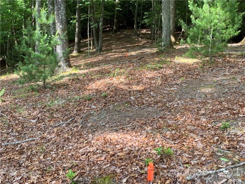 Property image 5 at 61 Buckhead Trail, Horse Shoe, NC 28742